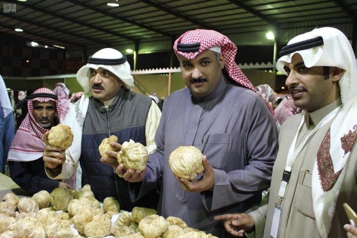 مهرجان للكمأ يجذب الزوار الخليجيين في «حفر الباطن» 